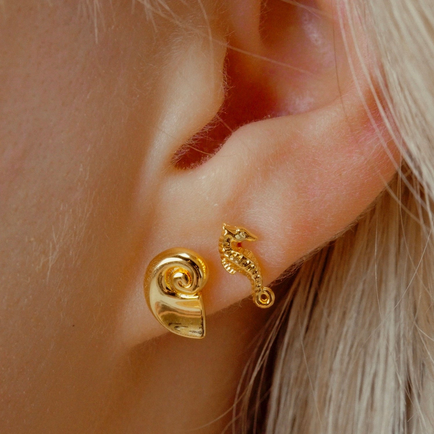 Seahorse Studs - Namaste Jewelry Canada